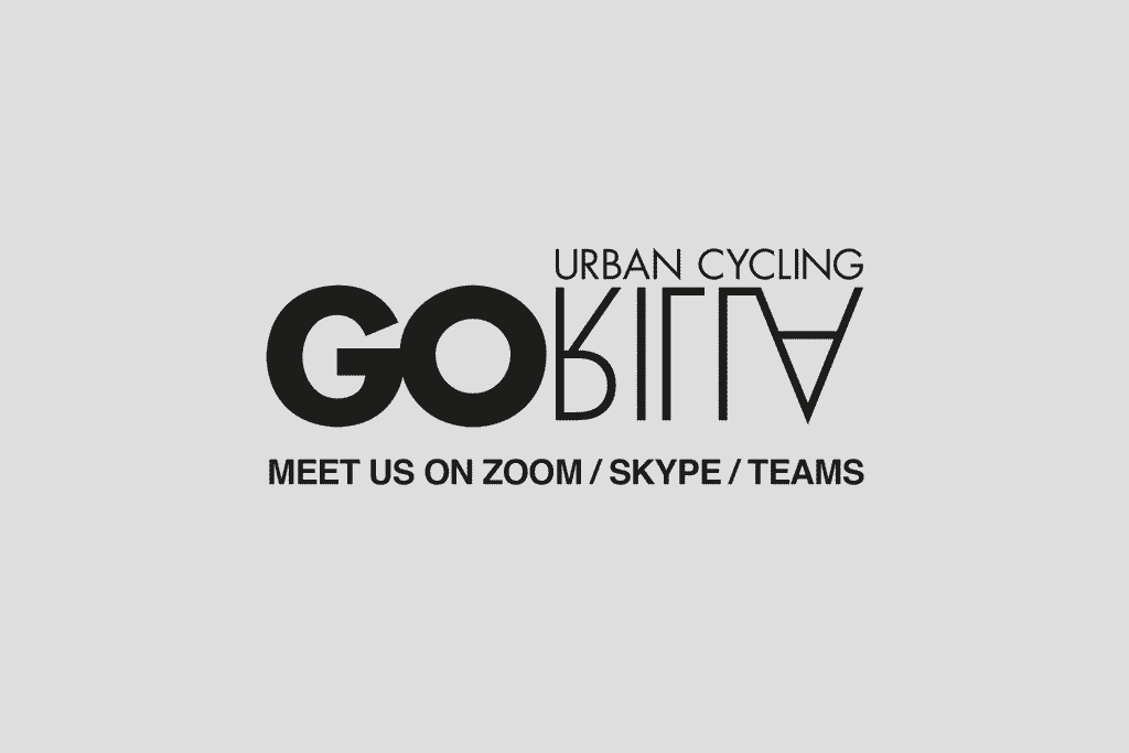 YOUR INDIVIDUALIZED SET UP MEETING - ONLINE - GOrilla . urban cycling